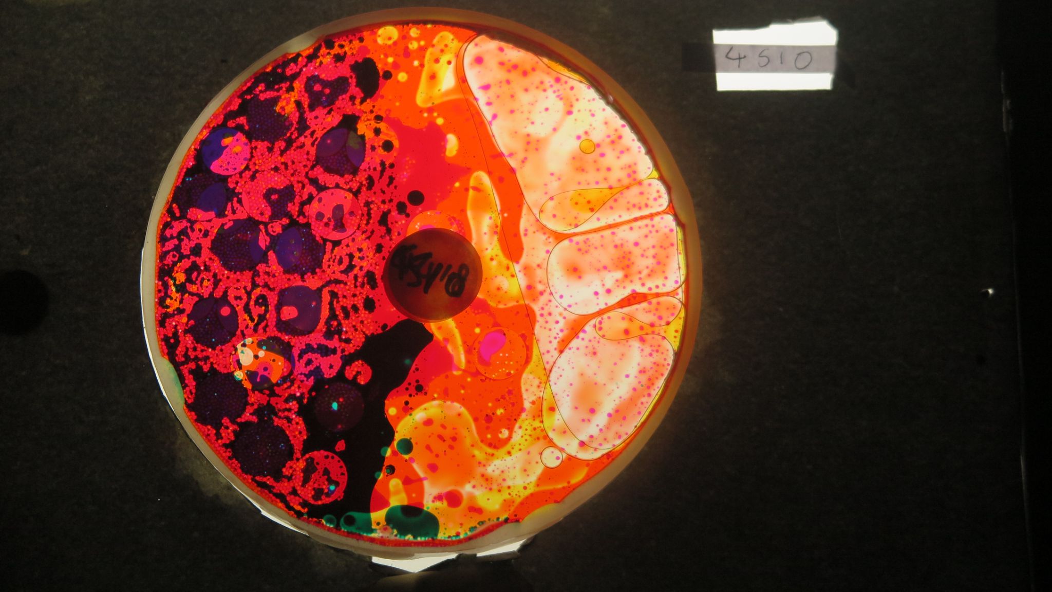 BV4510 bubble vision oil wheel